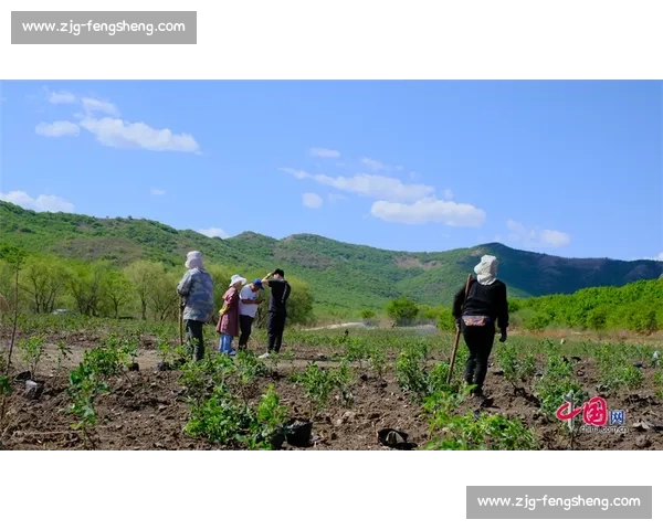 科尔沁草原燃动 “村 BA”！千场赛事圆满收官，五小牛见证乡村活力新图景